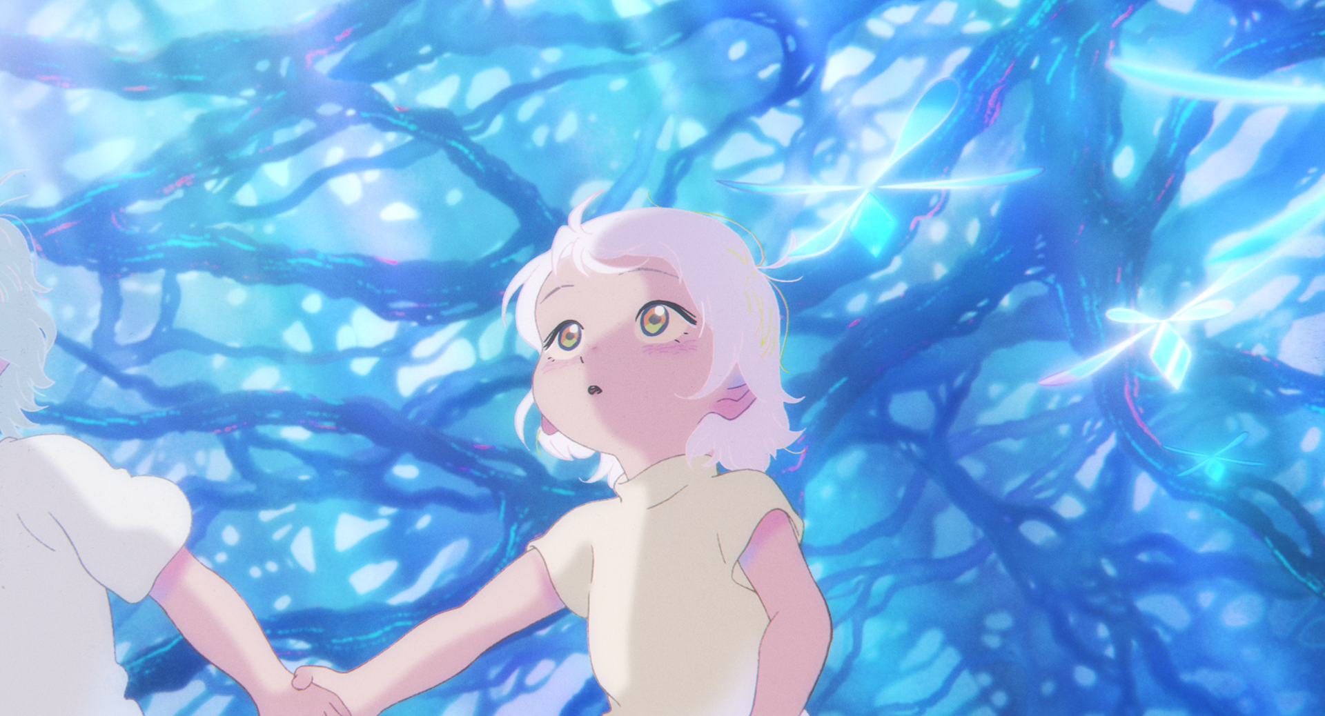 echo